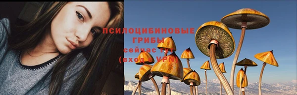 мет Надым